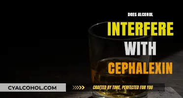 Exploring the Interaction: Alcohol and Cephalexin Usage