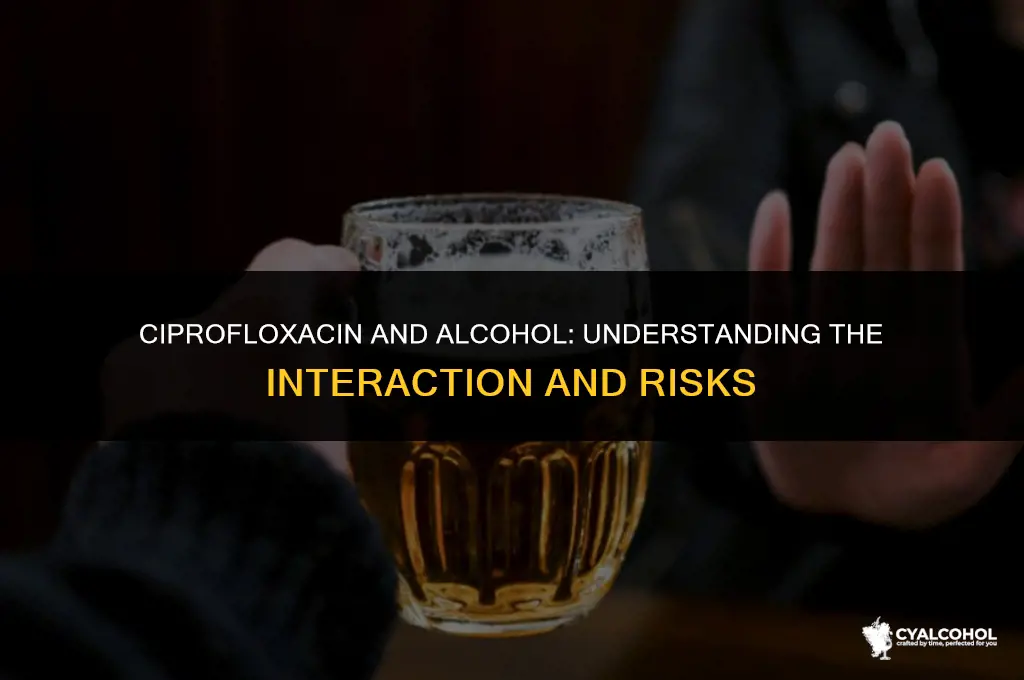 does alcohol interfere with ciprofloxacin