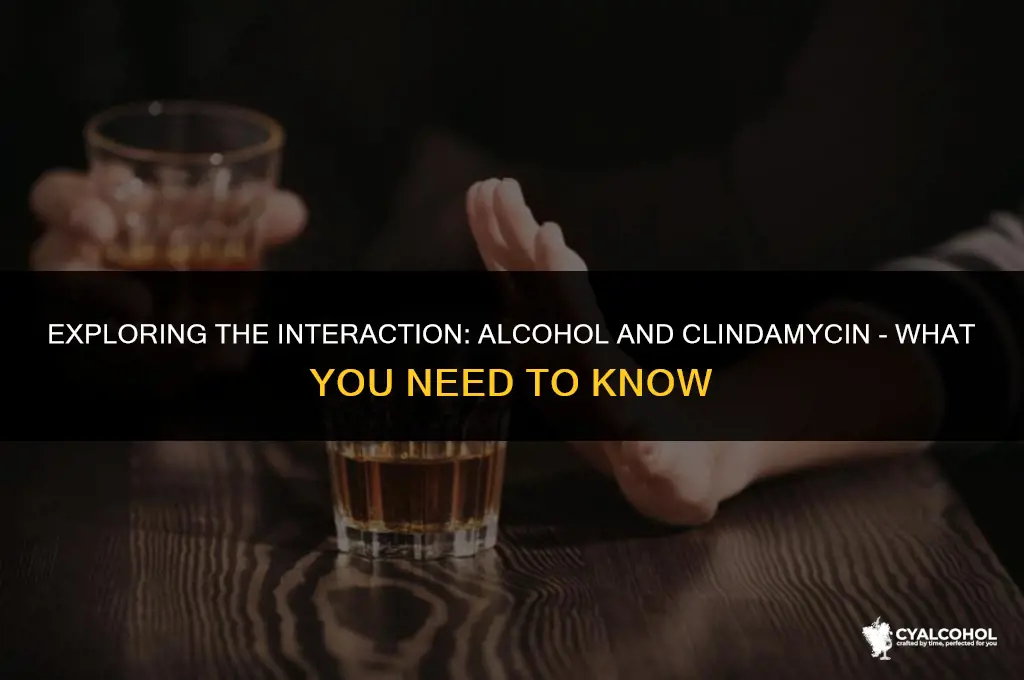 does alcohol interfere with clindamycin