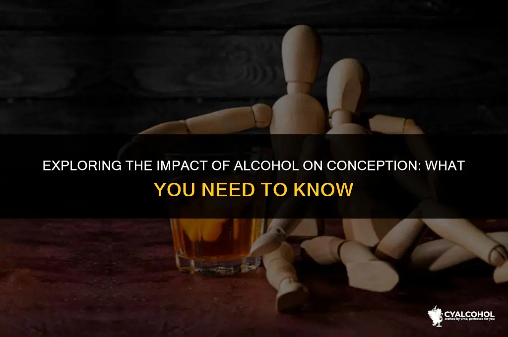 does alcohol interfere with conception