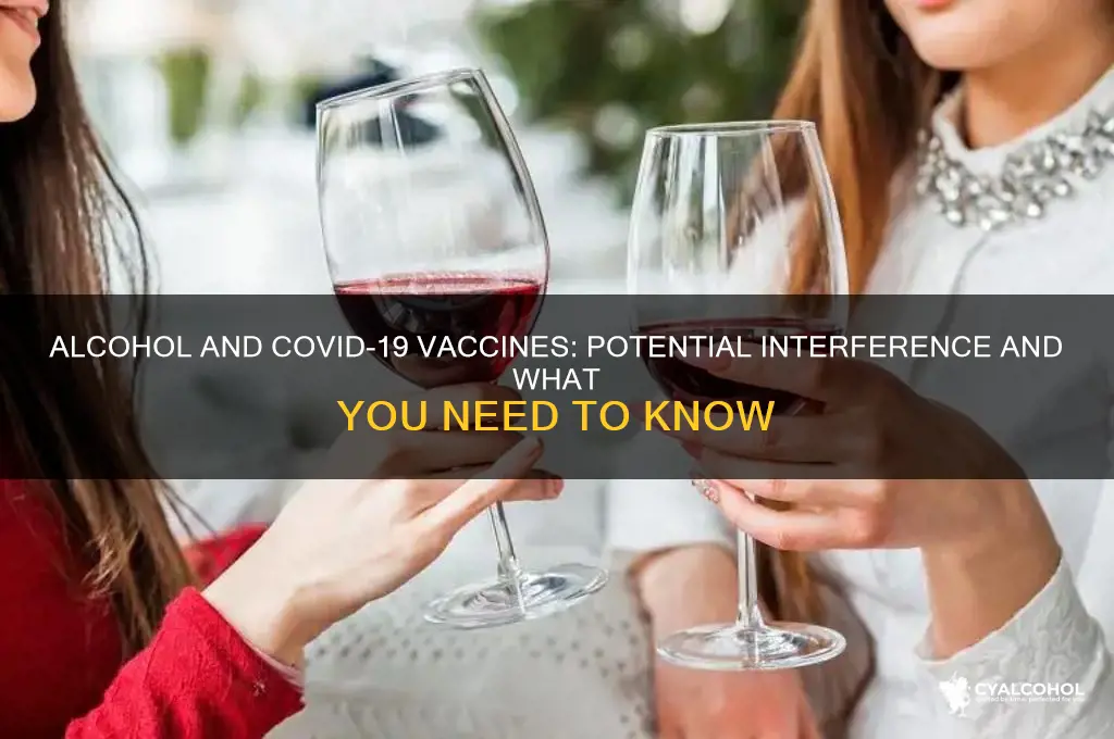 does alcohol interfere with covid vaccine