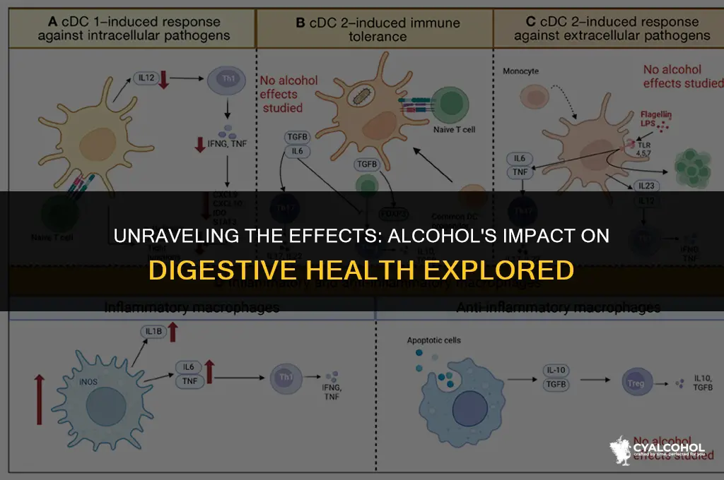 does alcohol interfere with digestion
