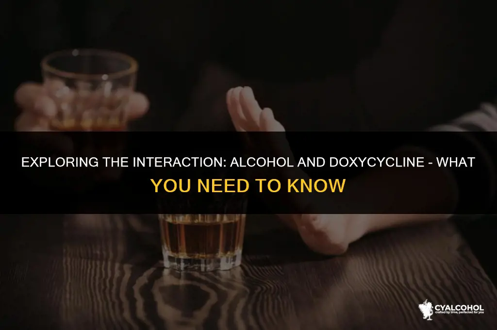 does alcohol interfere with doxycycline