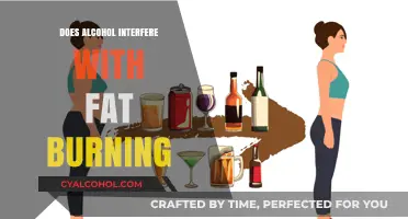 Alcohol and Fat Loss: How Drinking Impacts Your Body's Burn