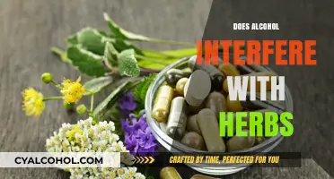Exploring the Interaction: Alcohol and Herbal Remedies