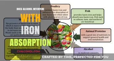 Alcohol's Impact on Iron Absorption: What You Need to Know