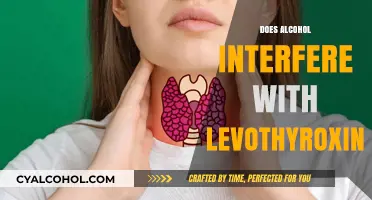 Unveiling the Truth: Alcohol's Impact on Levothyroxine Efficacy