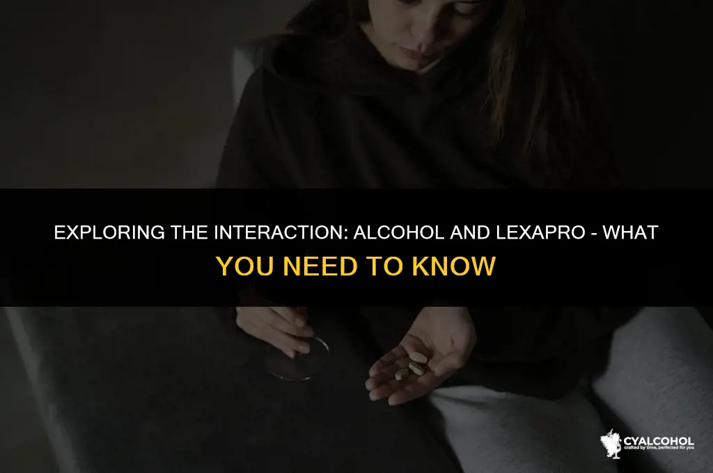does alcohol interfere with lexapro