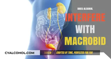 Exploring the Interaction: Alcohol and Macrobid - What You Need to Know