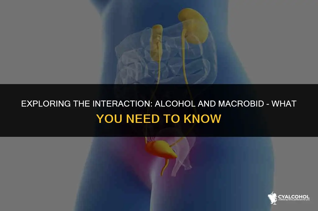 does alcohol interfere with macrobid
