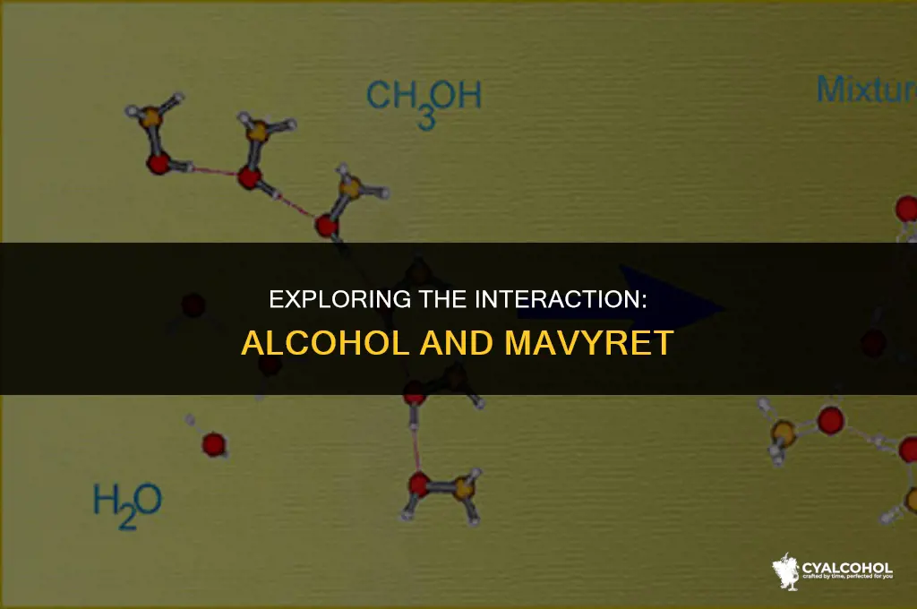 does alcohol interfere with mavyret