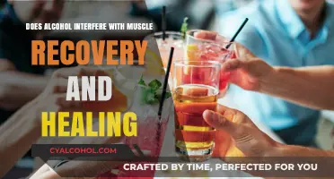 Alcohol's Impact on Muscle Recovery: Hindering Healing After Workouts?