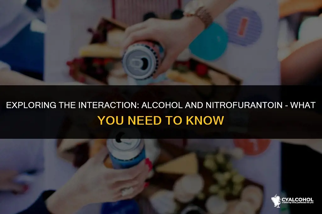 does alcohol interfere with nitrofurantoin