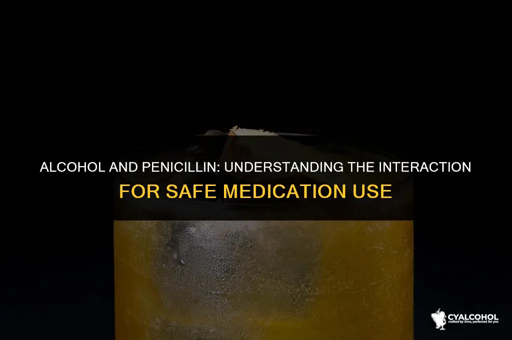 does alcohol interfere with penicillin