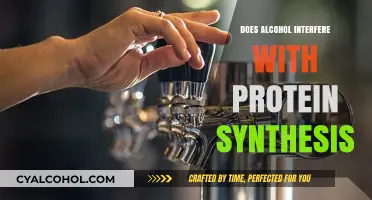 Alcohol's Impact on Protein Synthesis: Unraveling the Science Behind It