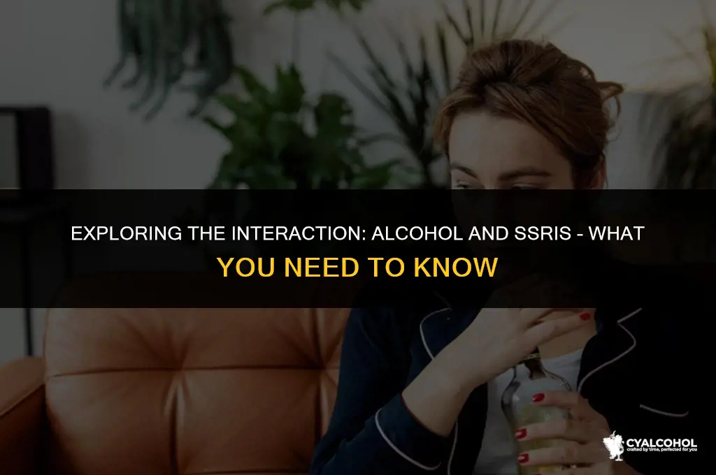 does alcohol interfere with ssris