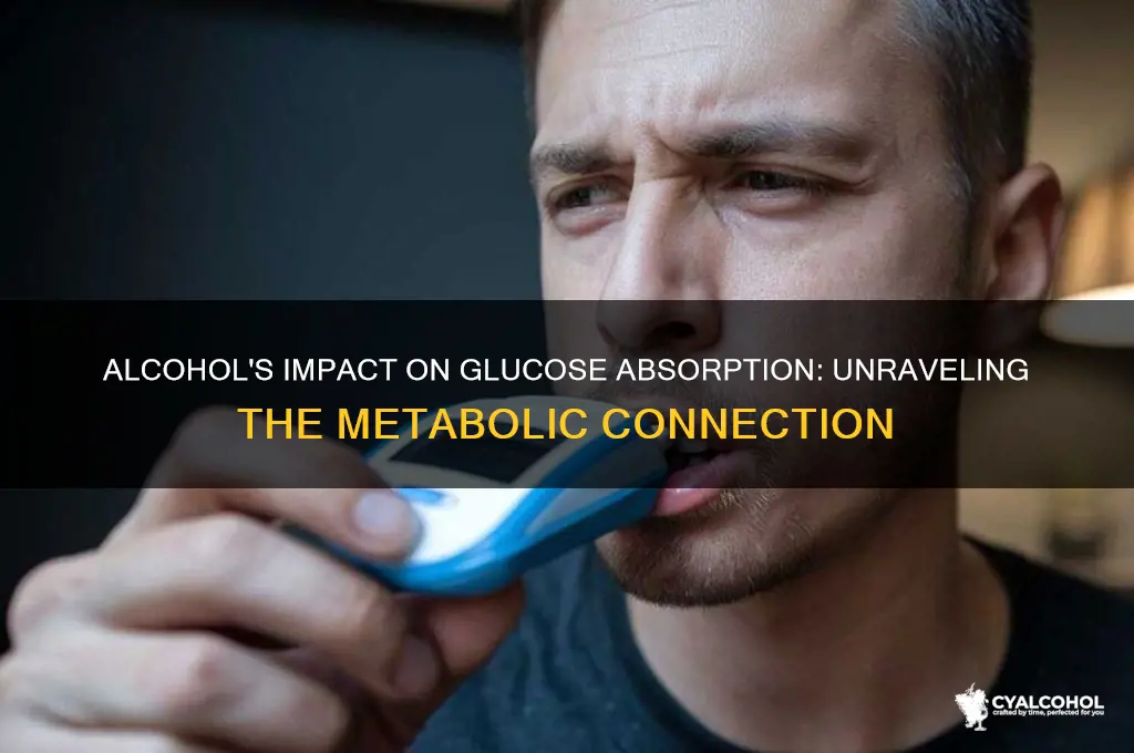 does alcohol interfere with the absorption of glucose