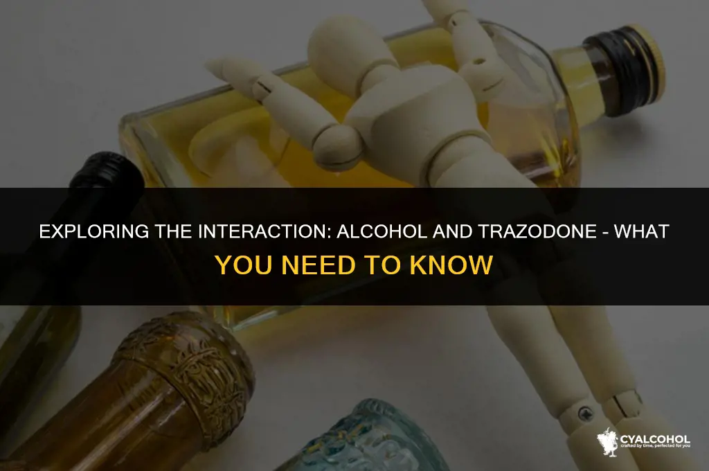 does alcohol interfere with trazodone
