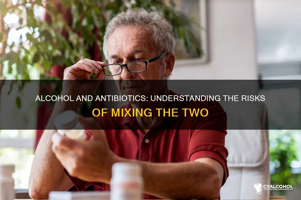 does alcohol interferewith antibiotics