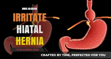 Exploring the Effects of Alcohol on Hiatal Hernia Symptoms