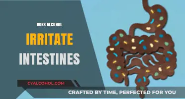 Alcohol and Intestinal Irritation: Uncovering the Impact on Gut Health