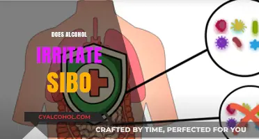 Alcohol and SIBO: Understanding Irritation and Gut Health Impact