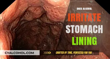 Exploring the Effects: Does Alcohol Irritate Your Stomach Lining?