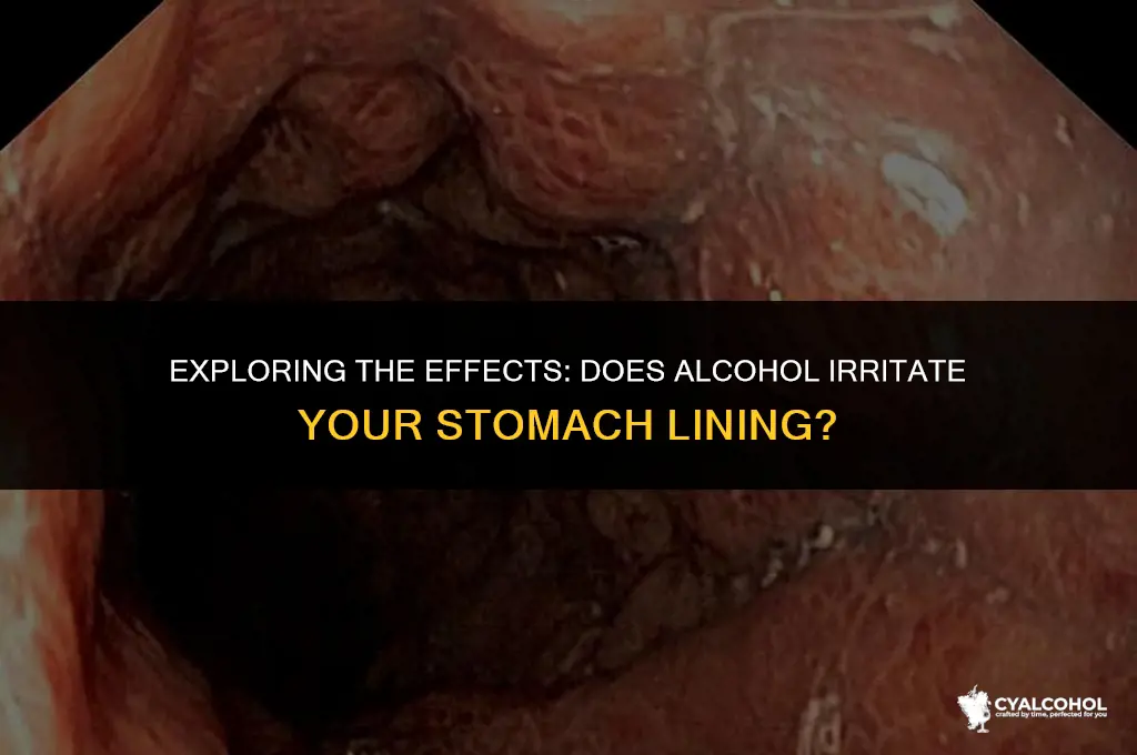 does alcohol irritate stomach lining