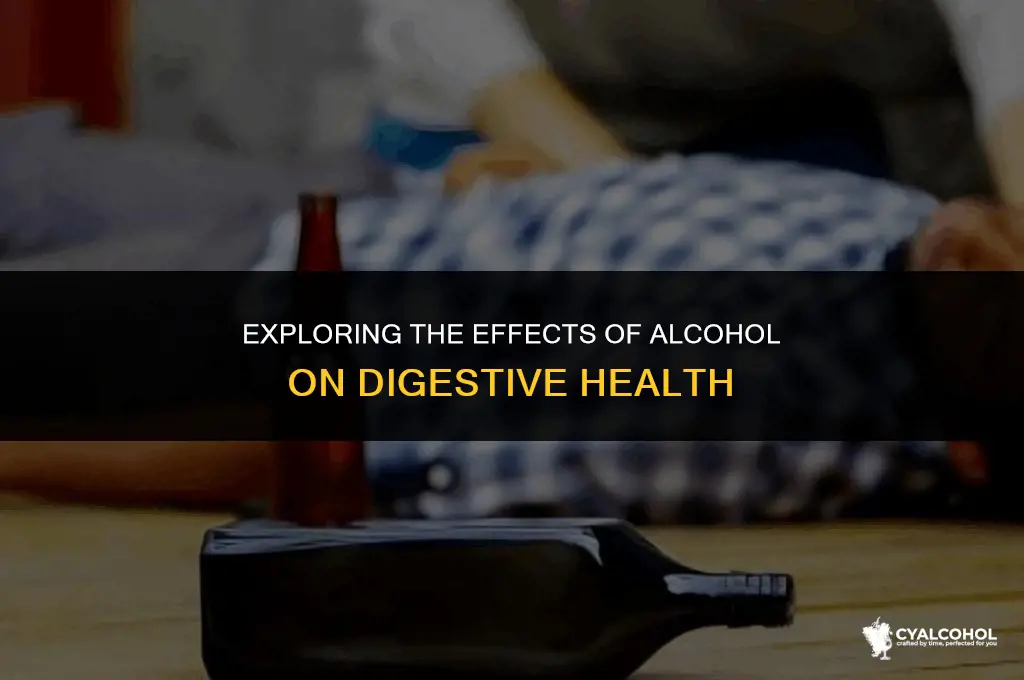 does alcohol irritate the bowels
