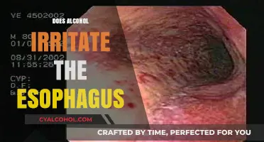 Exploring the Effects: Does Alcohol Irritate the Esophagus?
