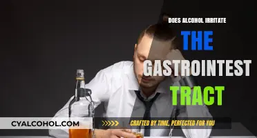 Alcohol and Gut Health: Does Drinking Irritate Your Digestive System?