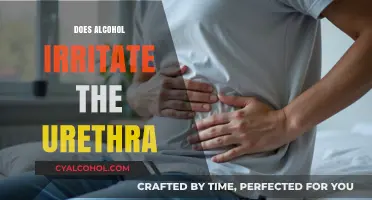 Exploring the Effects: Does Alcohol Irritate the Urethra?