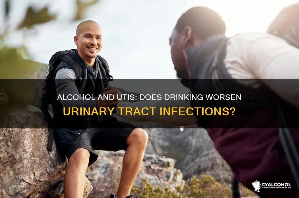 does alcohol irritate uti