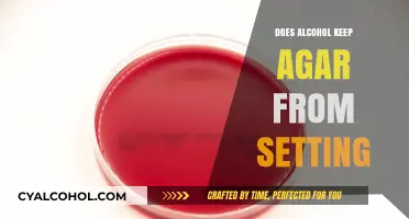 Alcohol's Impact on Agar Setting: A Scientific Exploration