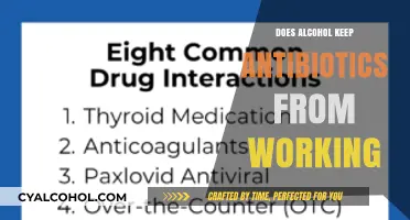 Alcohol and Antibiotics: How Drinking Impacts Medication Effectiveness