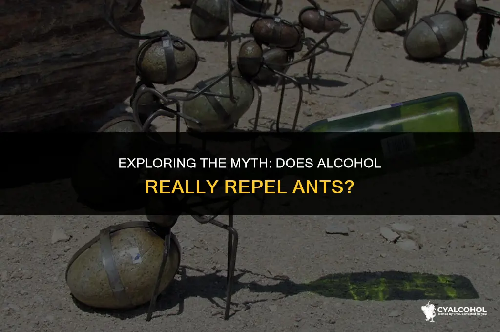 does alcohol keep ants away