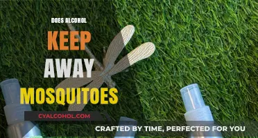 Sip to Swat: Unveiling the Truth About Alcohol and Mosquitoes