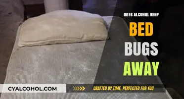 Alcohol and Bed Bugs: Myth or Effective Repellent?