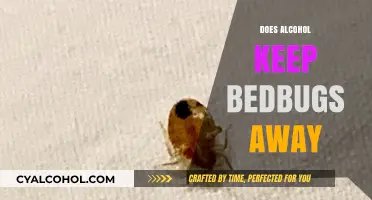Exploring the Myth: Can Alcohol Really Repel Bedbugs?