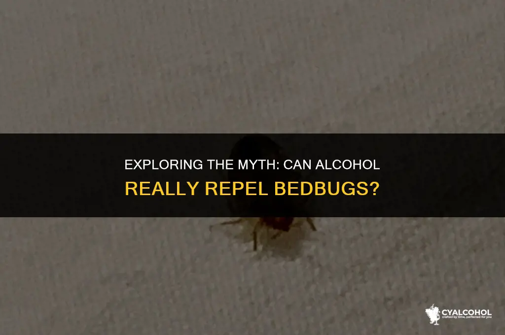 does alcohol keep bedbugs away