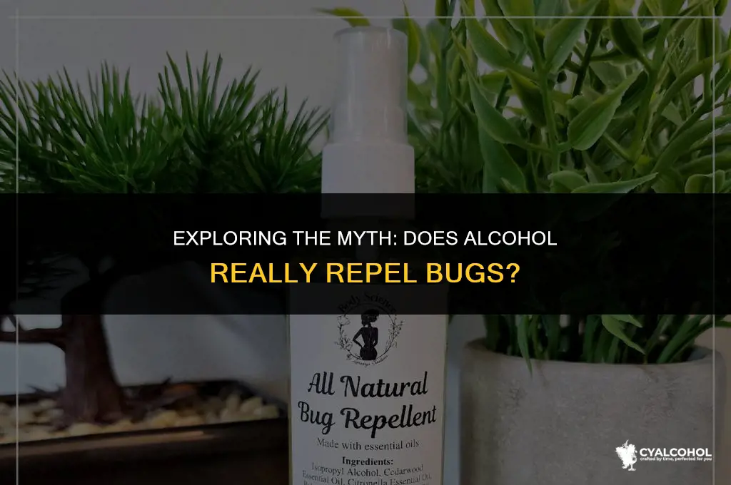 does alcohol keep bugs away