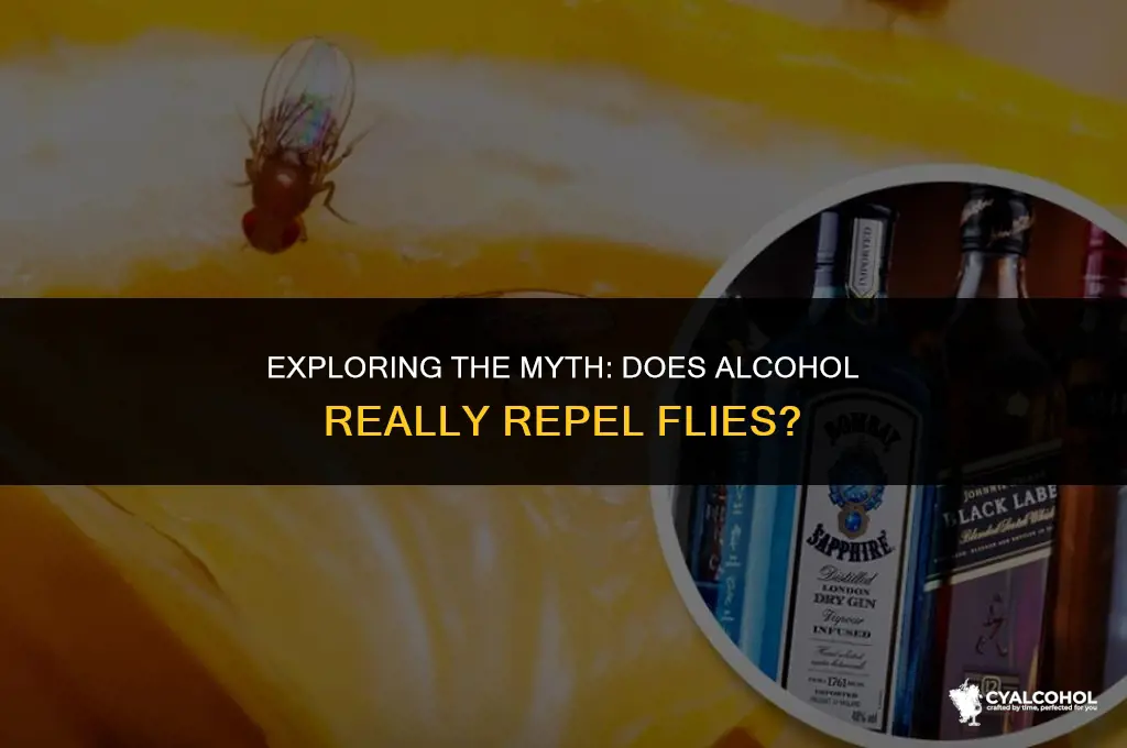 does alcohol keep flies away