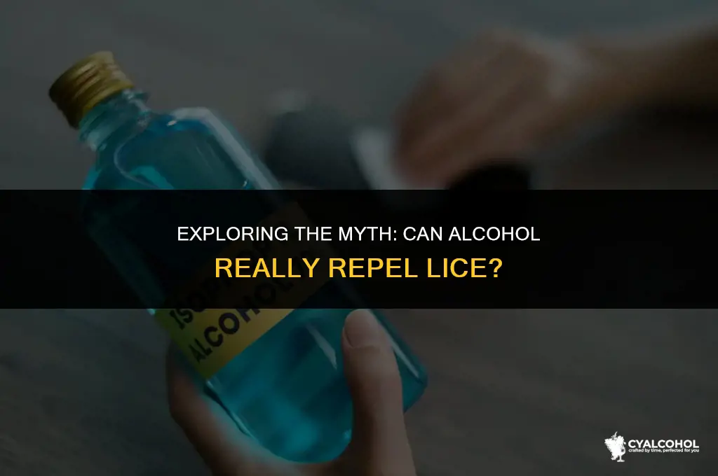 does alcohol keep lice away