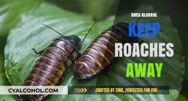 Exploring the Myth: Can Alcohol Really Repel Roaches?