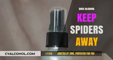 Exploring the Myth: Does Alcohol Really Repel Spiders?