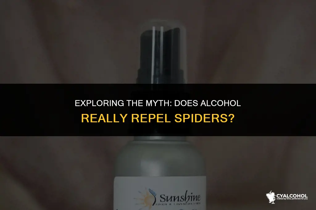 does alcohol keep spiders away