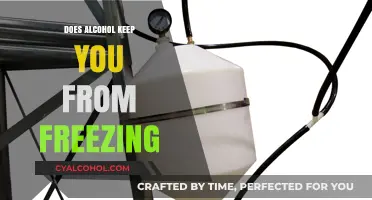 Alcohol and Cold Weather: Does It Really Prevent Freezing?