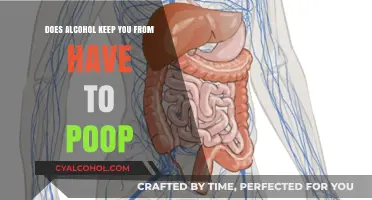 Alcohol and Digestion: Does Drinking Delay Your Need to Poop?