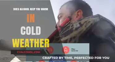 Alcohol's Warmth Myth: Does It Really Keep You Cozy in Cold Weather?