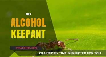 Does Alcohol Keep Ants Away? Separating Myth from Reality